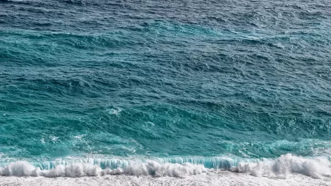 Bacterias serían útiles para descontaminar el mar y las playas al degradar hidrocarburos y plásticos: UNAM