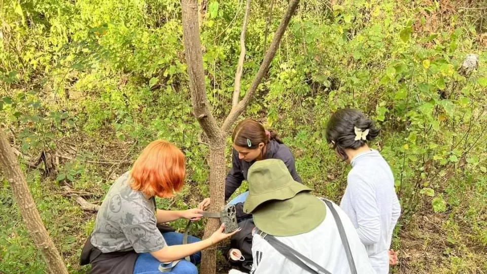 Alumno de Biología de la UAS descubre nueva especie en Sinaloa; se trata del género Allacrotelsa