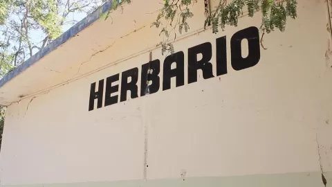 Facultad de Agronomía cuenta con más de 20 mil ejemplares de diversas especies de flora nativa de Sinaloa