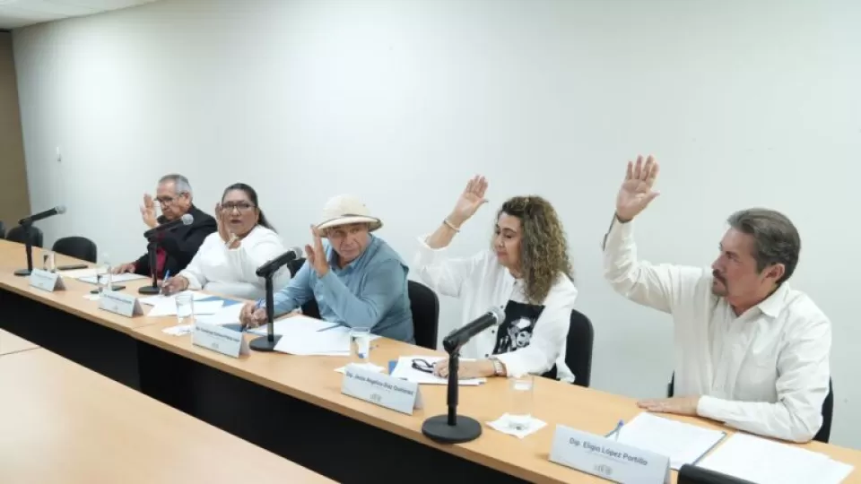 Comisión de Salud del Congreso aprueba dictamen que reforma la ley para prevenir embarazo en adolescentes