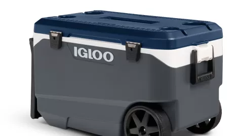 Lanzan alerta para 28 mil 571 neveras de Igloo Products por riesgo de lesión