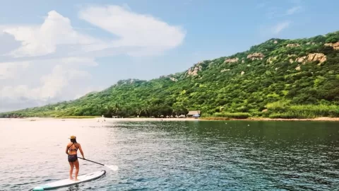 Sinaloa ya aparece en la página de Comefilm; dos productoras estarán el 2026 grabando en la entidad