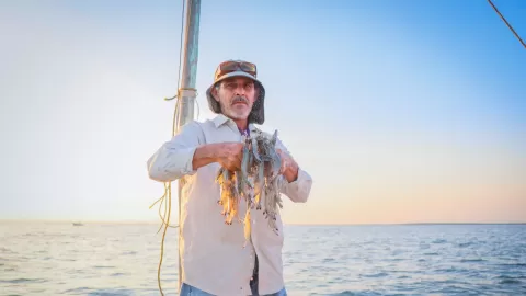 Arranca oficialmente la temporada de captura de camarón en Sinaloa 2025-2026