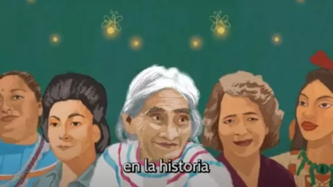 Elige el nombre de una nueva especie de luciérnaga descubierta en el Bosque de Chapultepec