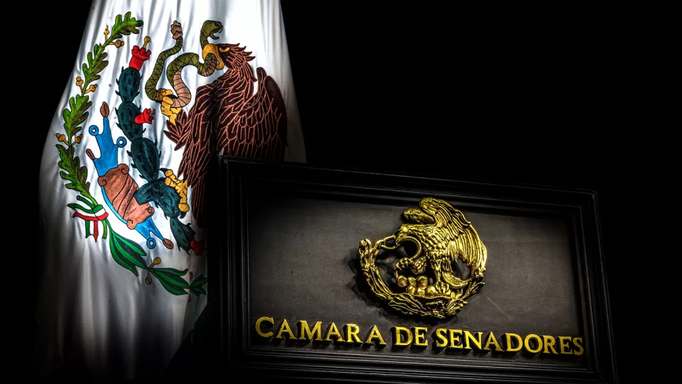 Exige Senado a Israel que salvaguarde la integridad y seguridad de la Flotilla Global Sumud