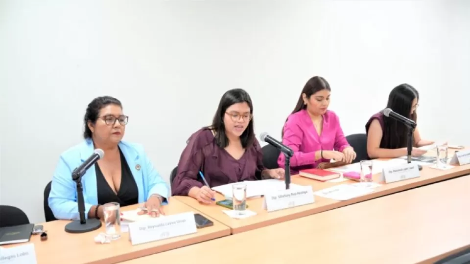 Diputadas y diputados reciben invitación al Encuentro Literario Inés Arredondo 2025