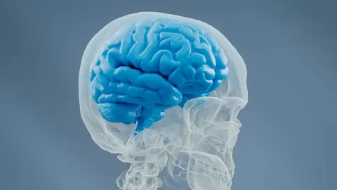 Microplásticos en el cerebro humano: un hallazgo sin precedentes que preocupa a la ciencia