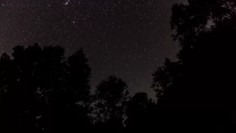 México alza la vista: el nocturismo conquista cielos oscuros y revela maravillas cósmicas