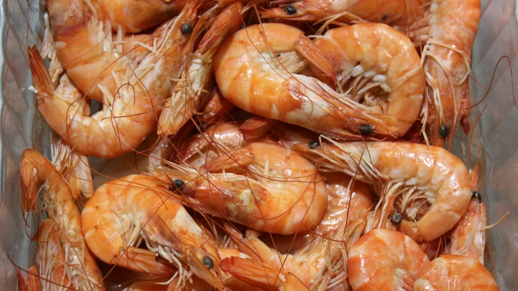 Sinaloa: temporada de camarón 2025 proyecta histórica producción de 50 mil toneladas