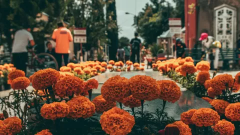 Emoción y color en Mazatlán: así celebran el día de todos los santos los 'angelitos' en los panteones