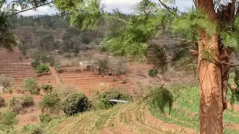Sinaloa se alista para un noviembre seco: la ausencia de lluvias enciende las alarmas en la región