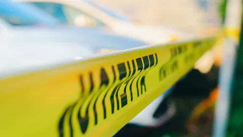 Violencia en México: 7 estados concentran más del 50% de homicidios dolosos, revela el SESNSP