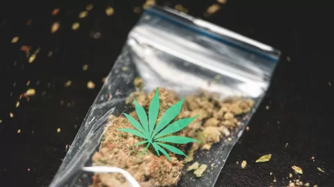 Alerta Médica Urgente: Cannabis Vinculado a Síndrome Estomacal Severo con Reconocimiento Oficial de la OMS