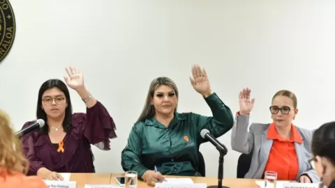 La Comisión de Igualdad, Género, Diversidad Sexual e Inclusión del Congreso del Estado presenta agenda de 16 días de activismo contra la violencia de género