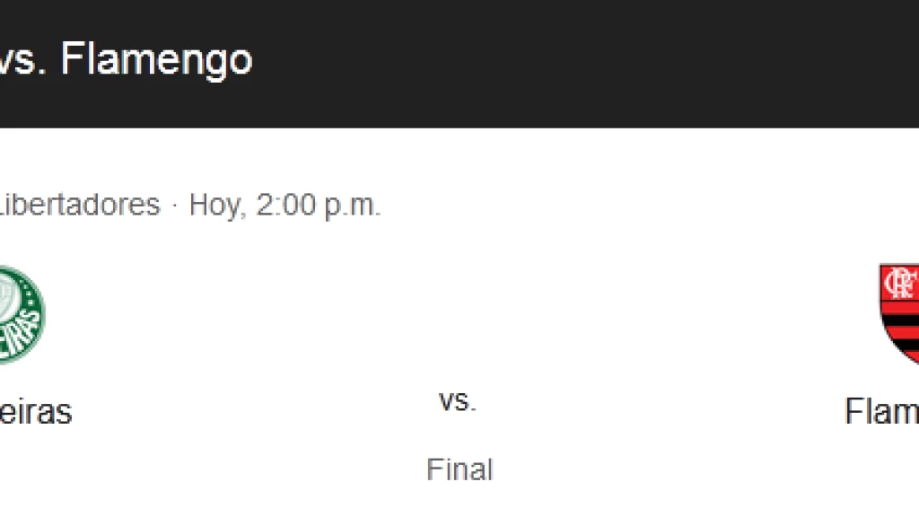 Copa Libertadores 2025: Palmeiras vs. Flamengo, la Gran Final Brasileña por la Gloria Continental - Fecha, Hora y Dónde Ver EN VIVO