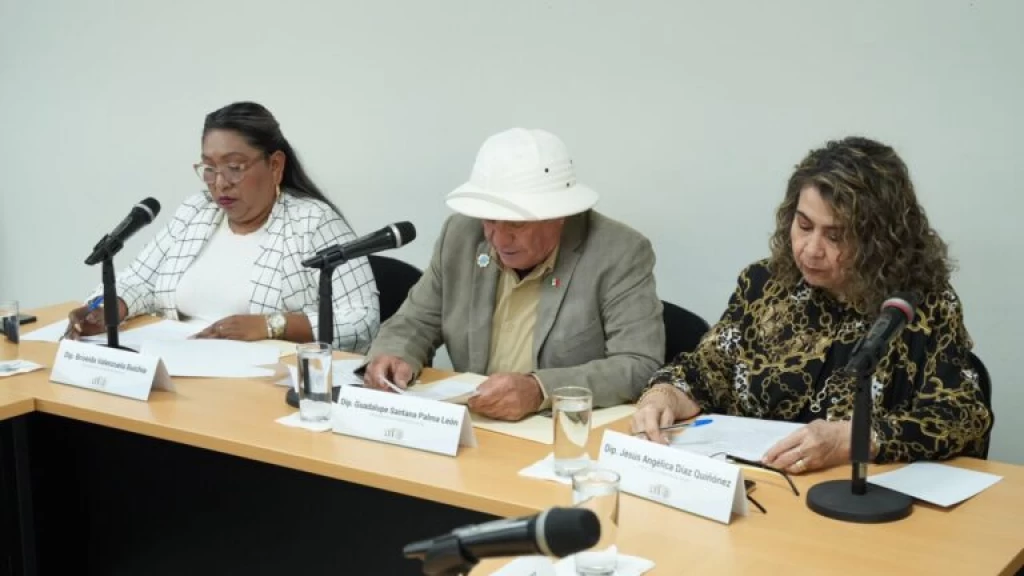 Comisión de Salud aprueba proyecto de dictamen que busca reformar la ley para incluir el cáncer de ovario en programas de prevención