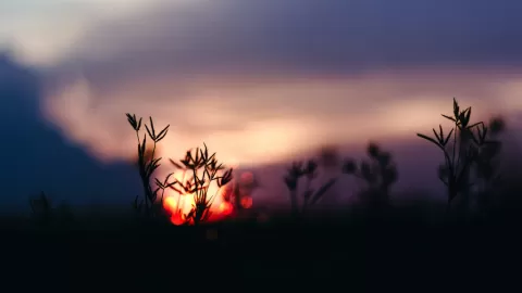 Solsticio de Invierno 2025: México Recibe la Estación Más Fría con la Noche Más Larga del Año