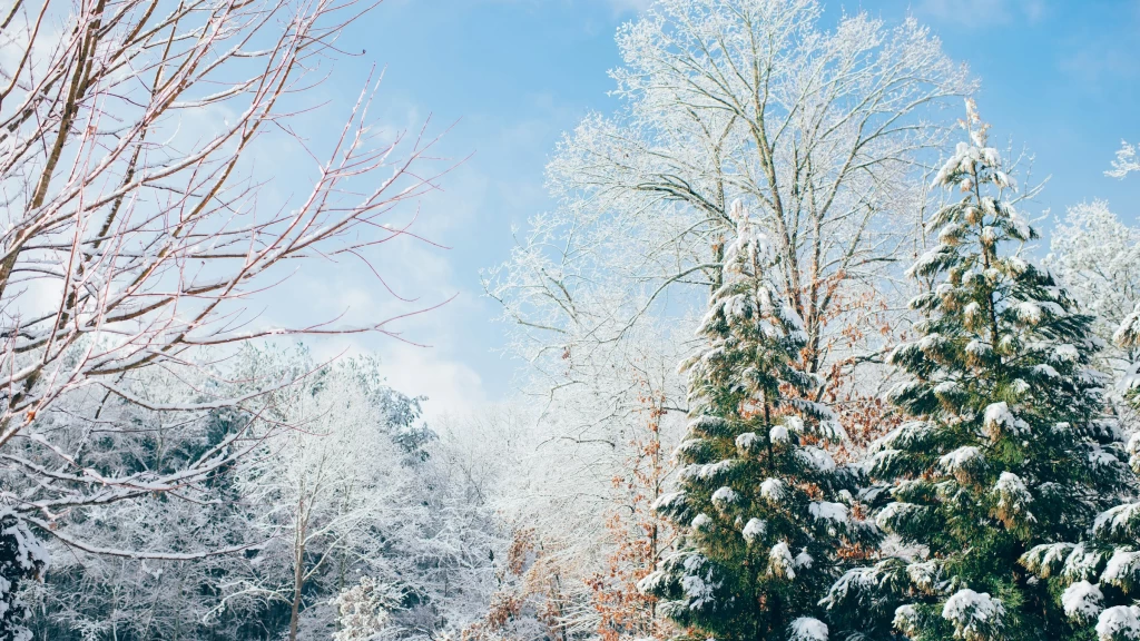 ¡Navidad Blanca Garantizada! La IA Comparte 3 Joyas Ocultas de México para Escapadas Invernales Únicas en 2025