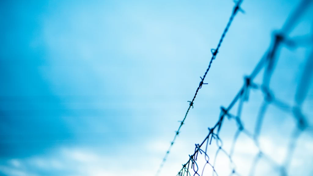 Caos Decembrino en la Frontera: Miles de Paisanos Desbordan Cruces México-EE.UU. con Largas Horas de Espera