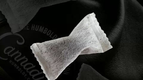 Bolsas de Nicotina: Explosivo Crecimiento sin Regulación Clara en México y Serios Riesgos para la Salud Pública