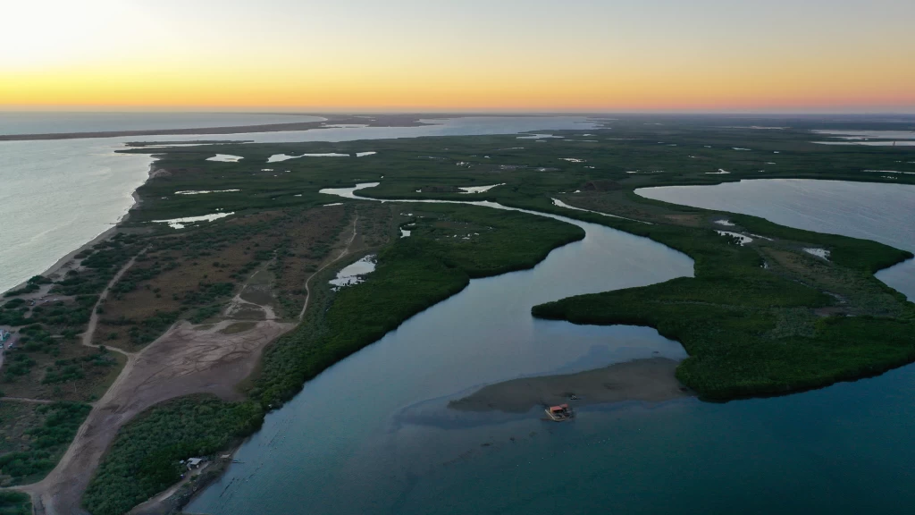 Ahome Deslumbra en FITUR 2026: La Ruta "Del Mar a la Montaña" de Sinaloa Conquista el Turismo Global desde Los Mochis