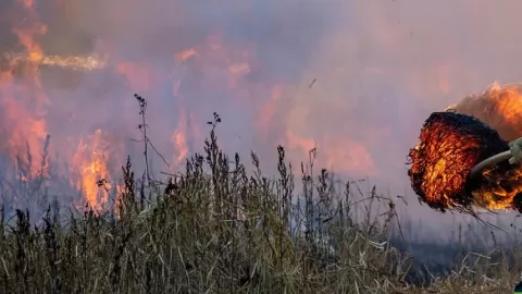 Culiacán: Enero con Incendios; 18 Casas Afectadas y Matorrales en Llamas Mantienen a Bomberos en Máxima Alerta