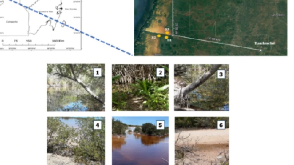 Revolución Ecológica: Científico Mexicano Lidera Innovador Método con Bacterias para Eliminar Metales Pesados de Agua y Suelos