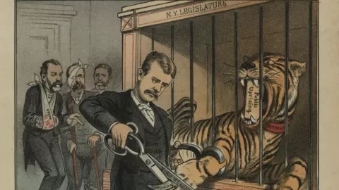 TAMMANY HALL NO HA MUERTO