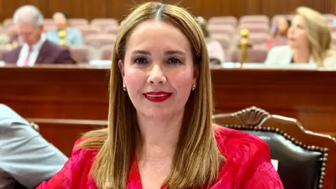 Diputada Elizabeth Montoya Recibe Alta en Culiacán Tras Ataque Armado