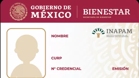 Tarjeta INAPAM Febrero 2026: ¡Descubra los DESCUENTOS esenciales para adultos mayores en México!