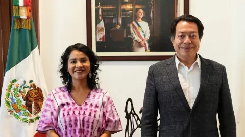 Nadia López García Asume Dirección de Materiales Educativos en SEP tras Destitución de Marx Arriaga