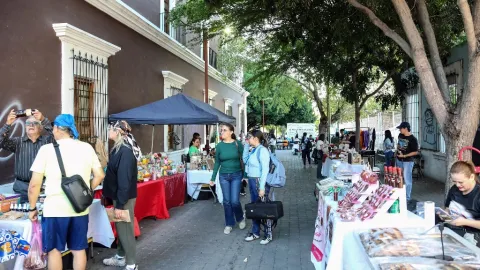 Paseo de las Artes ISIC: Celebración Cultural y Ritual de Bienvenida a la Primavera en Culiacán