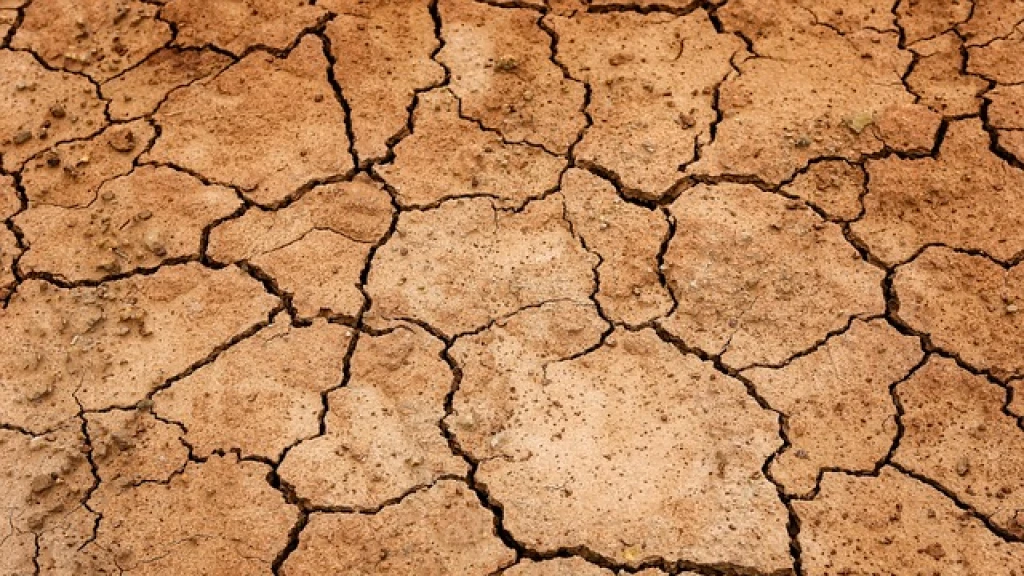 Sinaloa en Alerta: Sequía Azota Más de 200 Comunidades y Activa Plan de Emergencia
