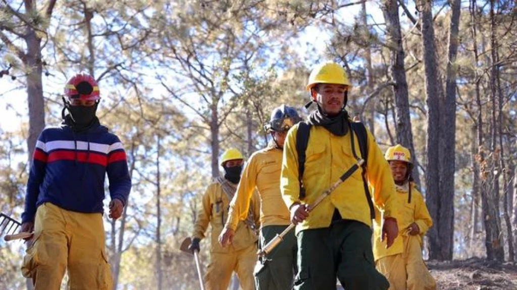 Sinaloa Logra Reducción Histórica del 83% en Incendios Forestales para Junio de 2026; Lluvias Ofrecen Esperanza contra la Sequía