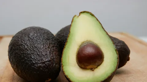 Aguacate Michoacano Vuelve a EE. UU.: Reanudación Gradual de Exportaciones Tras Alerta de Seguridad