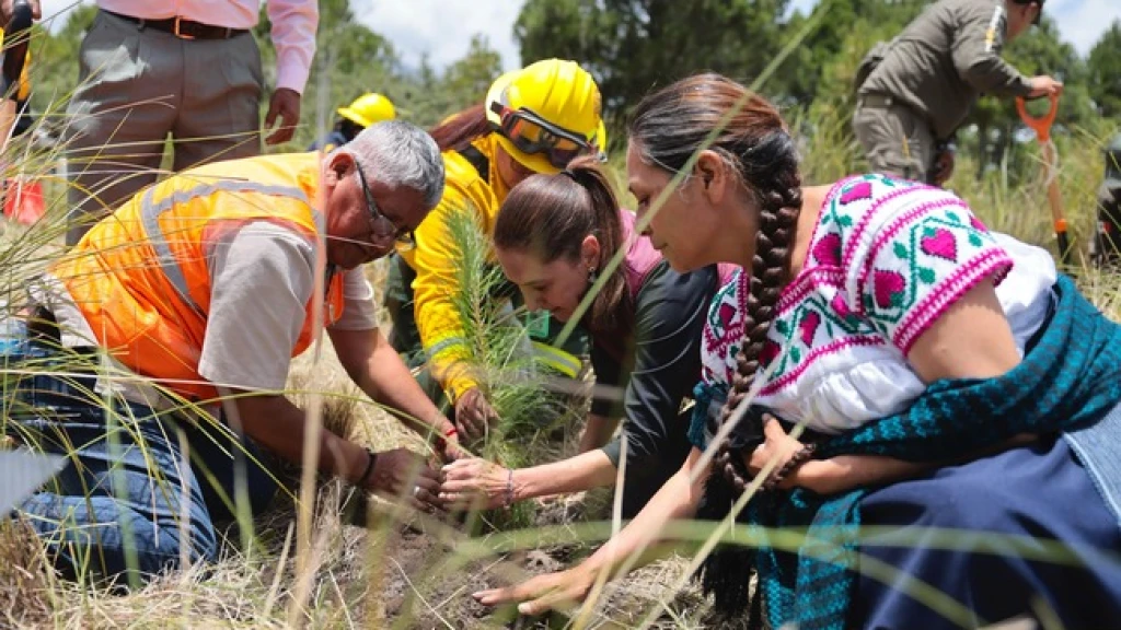 Claudia Sheinbaum Lideró Jornada Nacional de Reforestación en Puebla: 6.6 Millones de Árboles Plantados