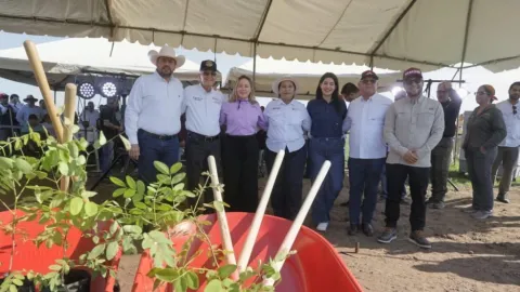 Gobernadora Yeraldine Bonilla puso en marcha en Sinaloa la Jornada Nacional de Reforestación