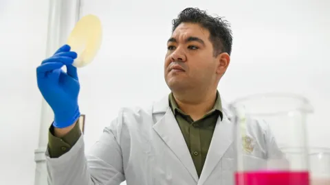 Científicos de la UAS desarrollan biopelículas comestibles para prolongar la vida de las cosechas y reducir pérdidas agrícolas