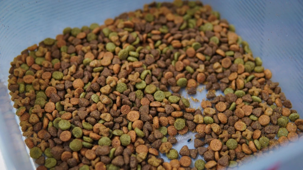 Investigadores de la UAS revelan presencia de Necrobia rufipes, una plaga cadavérica, en comida para perros vendida a granel
